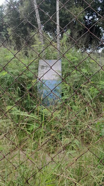 Foto 16 de 16 — Praça do Selmi Dei fica mais de 5 meses sem limpeza e moradores relatam aparecimento de cobras